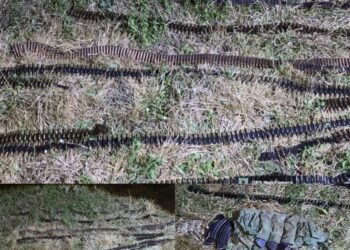 Troops rescue 86 kidnapped victims, arrest 29 terrorists’ suppliers in Borno