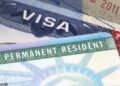 Nigeria excluded as the US reviews all green cards granted to individuals from 19 nations