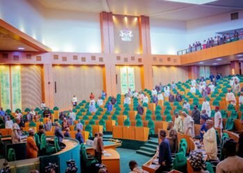 Reps host envoys in special security plenary on national security