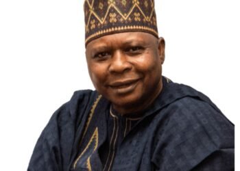 Can Kabiru Tanimu Turaki save the PDP?