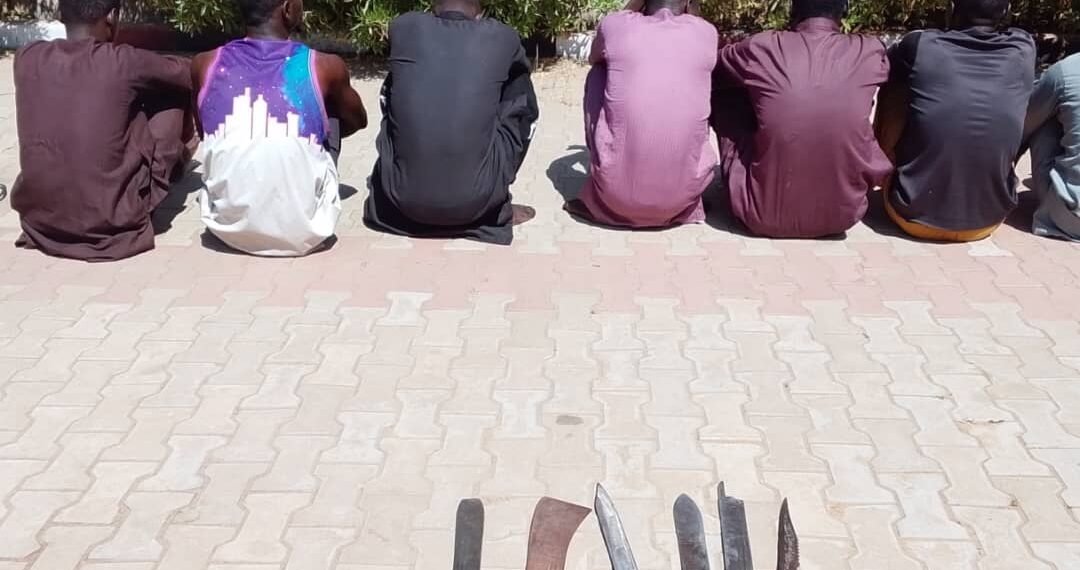 NSCDC arrests 11 suspected hoodlums with weapons In Kano