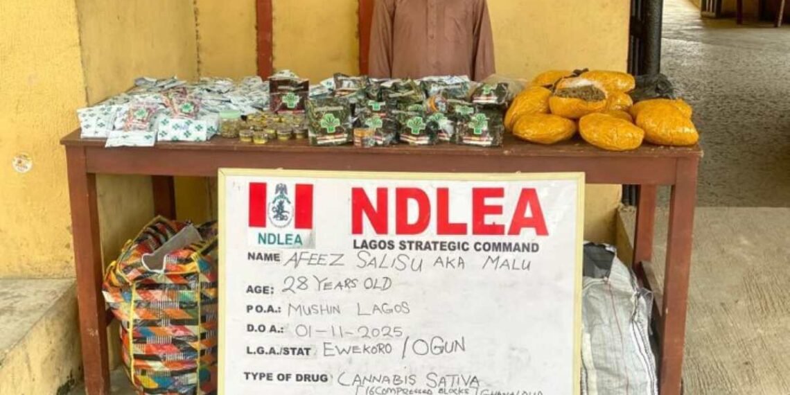 NDLEA alerts public of fake medicinal cannabis, arrests 28-yr-old Lagos kingpin