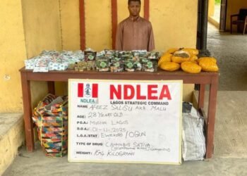 NDLEA alerts public of fake medicinal cannabis, arrests 28-yr-old Lagos kingpin