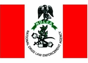Army, NDLEA strengthen partnership against drug trafficking in Adamawa