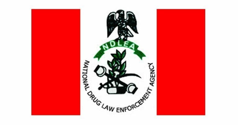 Army, NDLEA strengthen partnership against drug trafficking in Adamawa