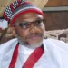 44 Reps petition Tinubu, demand Nnamdi Kanu’s release