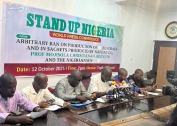  Ban on sachet alcohol could cost 500,000 jobs, trillions In investments, group warns