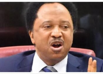 Shehu Sani advises Nigerians with revoked US visas to return home