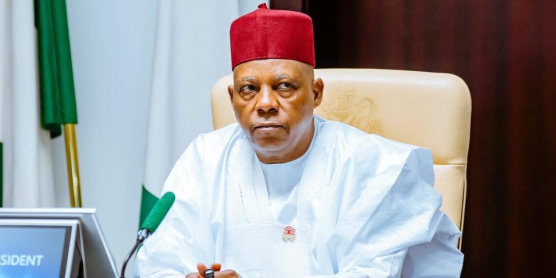 Shettima to represent Tinubu at G20 summit in South Africa amid rising insecurity