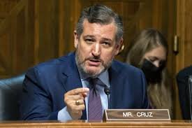US Senator Ted Cruz calls for sanctions on Nigerian officials, 12 states over Sharia, Blasphemy Laws