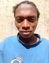 Police arrest man for allegedly trafficking girls to Ghana in Adamawa