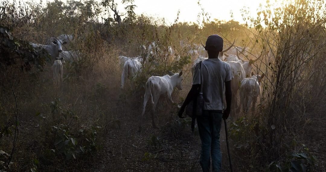2 Fulani herdsmen nap in Oyo over alleged kidnapping