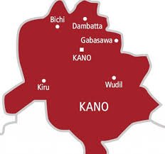 Criminal groups becoming more sophisticated, Kano deputy governor warns