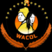 WACOL launches digital Podcast to break silence, tackle GBV nationwide