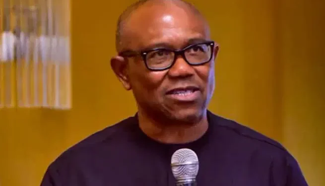 Obi emerges only NDC presidential aspirant after screening
