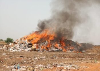 NAFDAC incinerates N10.19bn worth of counterfeit products in Kano