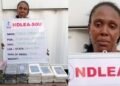 Female drug kingpin arrested in Lagos with 23.5kg cocaine hidden in children’s room