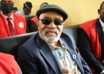 Court allows Chris Ngige to retain EFCC bail, sets fresh surety conditions