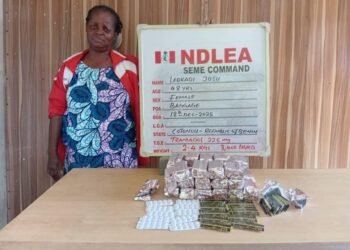 Kano Custodial Centre foils drug smuggling plot, 2 Women arrested