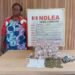 Kano Custodial Centre foils drug smuggling plot, 2 Women arrested