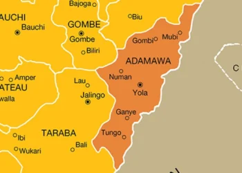 Army refute claims of shooting female protesters in Adamawa