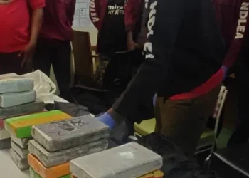 NDLEA detains vessel, 21 crew members over cocaine shipment from Brazil