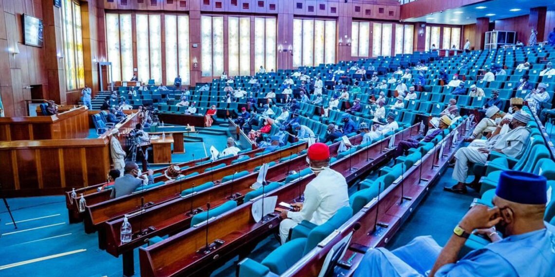 Reps seek waiver for COVID-19 loan debtors, probe killing of Adamawa women