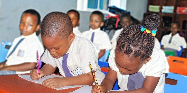Stakeholders urge investment in facilities, teachers at Muhammadu Nya primary school in Taraba