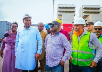 Gov. Diri calls for patience over Bayelsa's independent power project