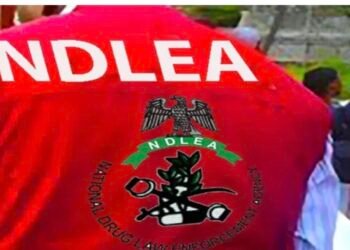 FG, NDLEA launch national policy on drug abuse in schools