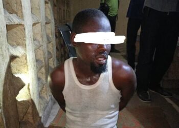 Troops arrest suspected suicide bomber, seize IED materials in Borno