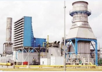 Group opposes planned sale of Ibom Power Plant