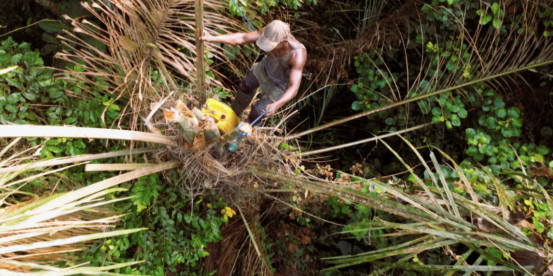 Kidnappers behind Delta Palm Wine Tapper killing taken down in joint security raid