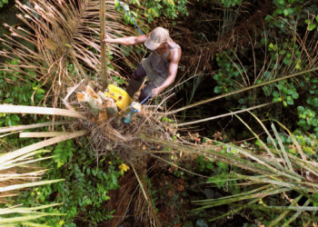 Kidnappers behind Delta Palm Wine Tapper killing taken down in joint security raid