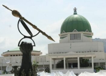 Insecurity: Legalize light arms bearing for adult Nigerians- Ohanaeze urges FG, National Assembly