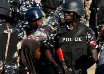 Edo Police record major breakthroughs as kidnapped expatriate rescued, armed gangs dismantled