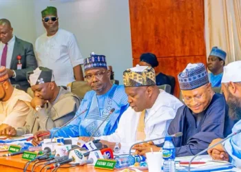 Northern Governors’ mining ban sparks debate as Miners warn of economic ruin, rising Insecurity