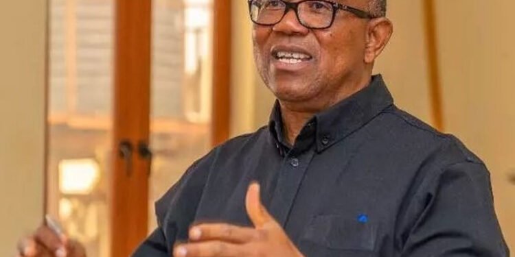 Peter Obi denies seeking support of Tinubu’s aide, Bwala, for 2023 presidential campaign