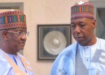 Indimi pledges new wave of private investment in Borno