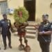 Masquerade in police net in Akwa Ibom