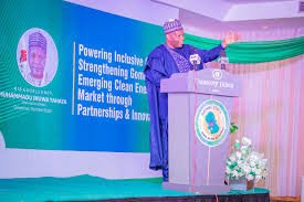 Gombe expands electricity market, woos clean energy investors