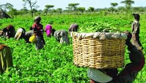 Masisi urges Agriculture led growth as path to Africa’s economic diversification