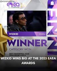 Wizkid dominates African Entertainment Awards 2025 with triple triumph, cementing global Afrobeats supremacy