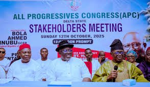 2027: Delta Central APC stakeholders pledge loyalty to Tinubu, Gov. Oborevwori