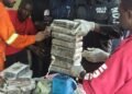 NDLEA intercept drugs hidden in coffee sachets, books, nab 22 Indians over 31.5kg cocaine haul