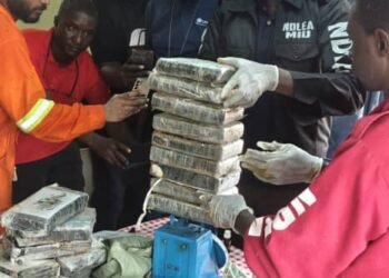 NDLEA intercept drugs hidden in coffee sachets, books, nab 22 Indians over 31.5kg cocaine haul