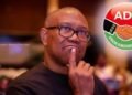 Drama as ADC faction rejects Peter Obi, declares Enugu registration invalid