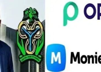CBN grants national licences to Opay, Moniepoint, Kuda, others in major FinTech shake-up