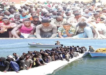 20,000 Kano youths return from irregular migration in 5 years — NGO
