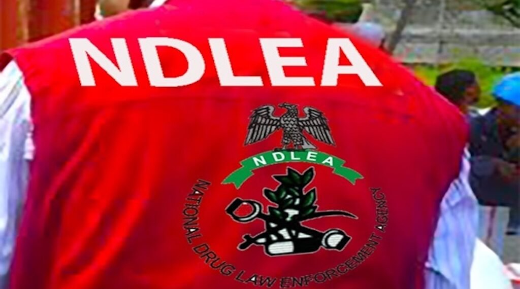 NDLEA nabs Brazilian woman with heroin at Abuja airport